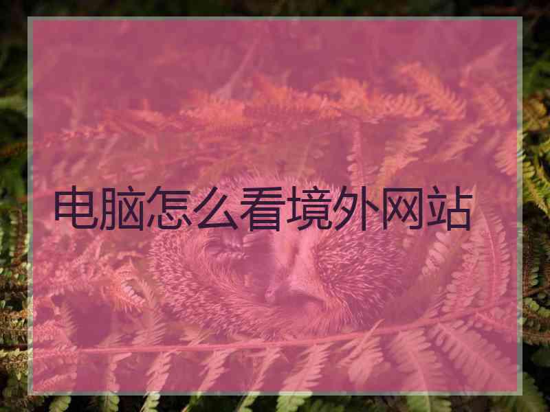 电脑怎么看境外网站