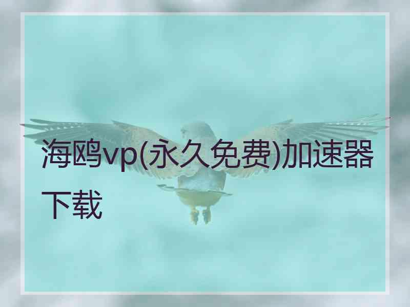 海鸥vp(永久免费)加速器下载