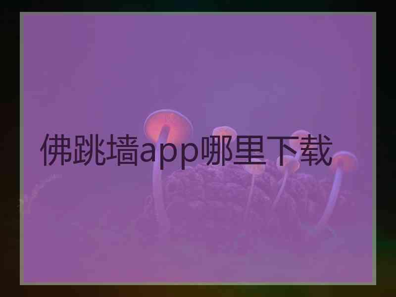 佛跳墙app哪里下载