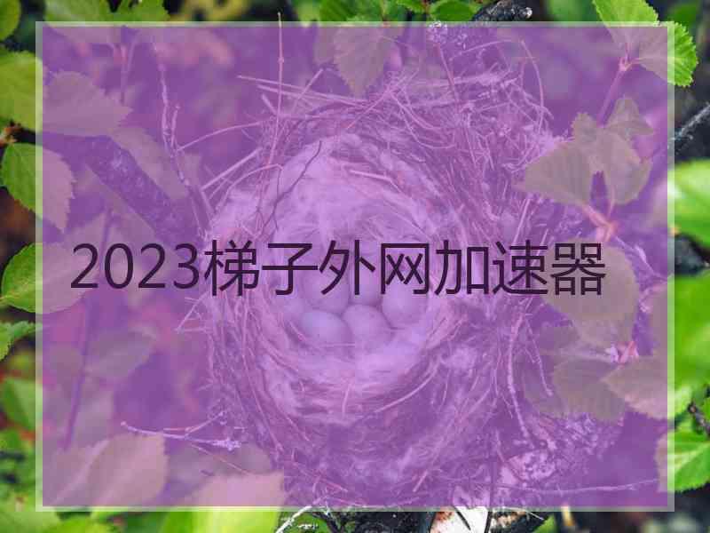 2023梯子外网加速器