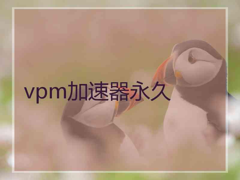 vpm加速器永久