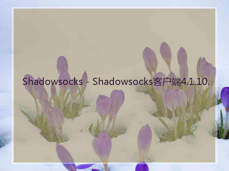 Shadowsocks - Shadowsocks客户端4.1.10.