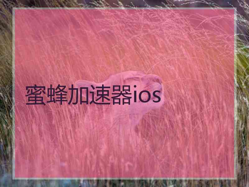 蜜蜂加速器ios