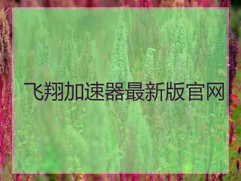 飞翔加速器最新版官网