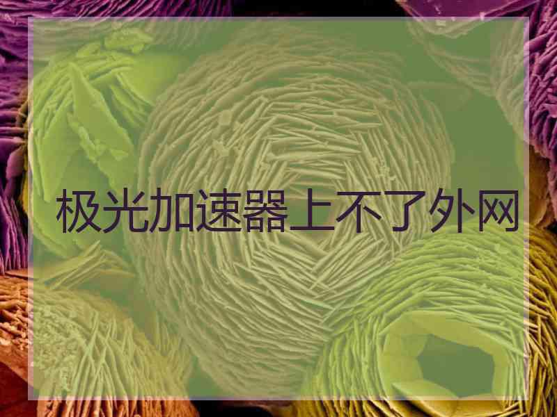 极光加速器上不了外网