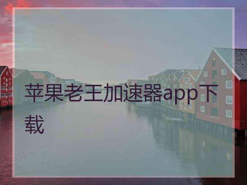 苹果老王加速器app下载