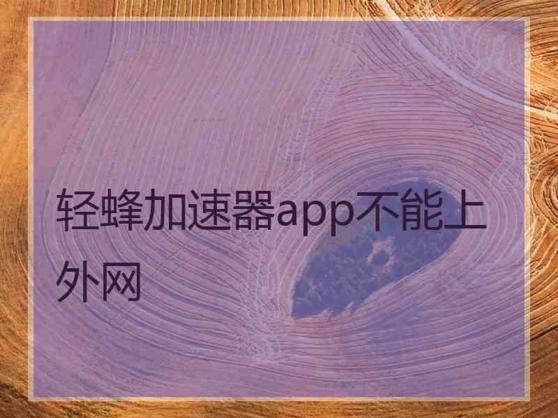 轻蜂加速器app不能上外网