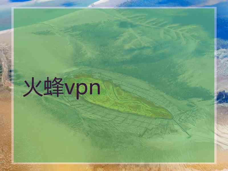 火蜂vpn