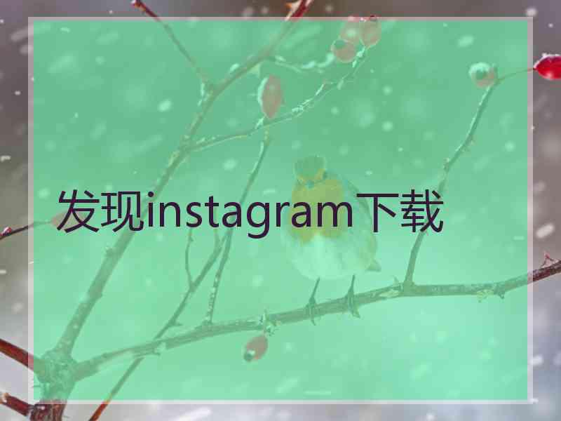 发现instagram下载