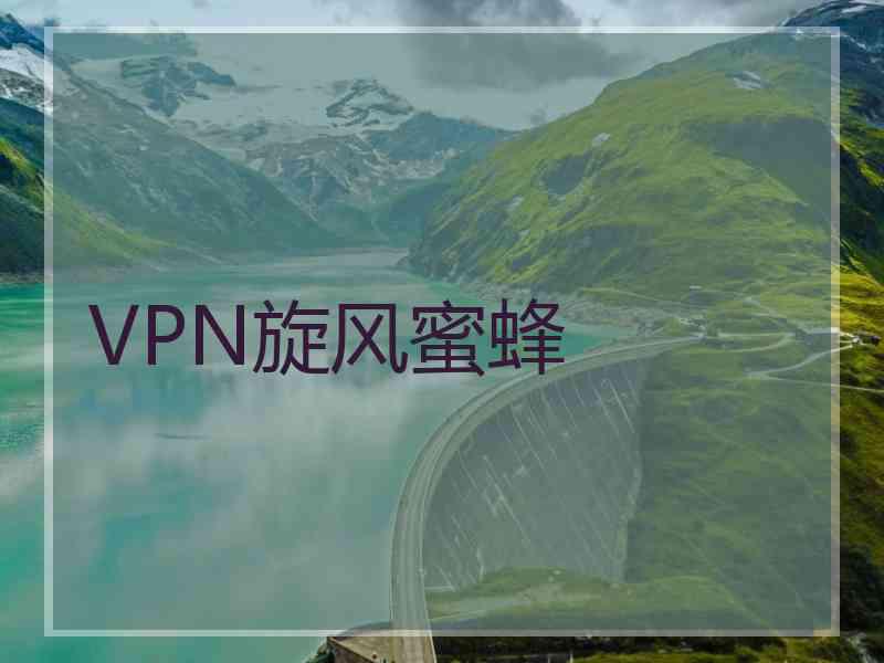 VPN旋风蜜蜂