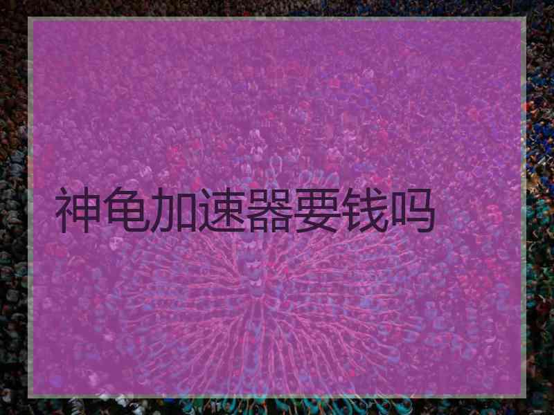 神龟加速器要钱吗