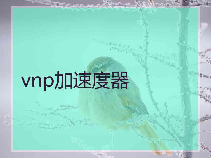 vnp加速度器