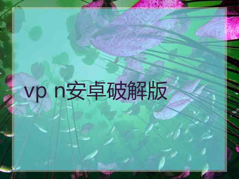 vp n安卓破解版
