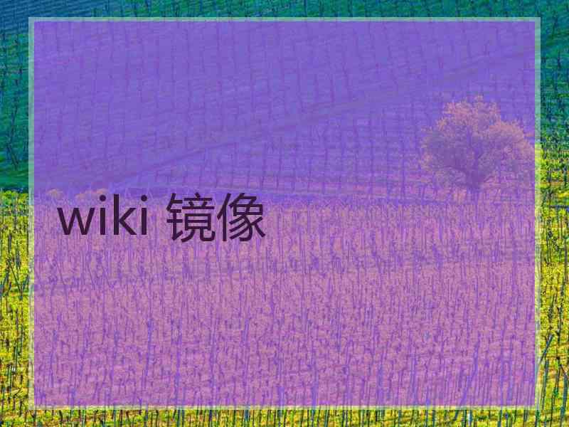 wiki 镜像