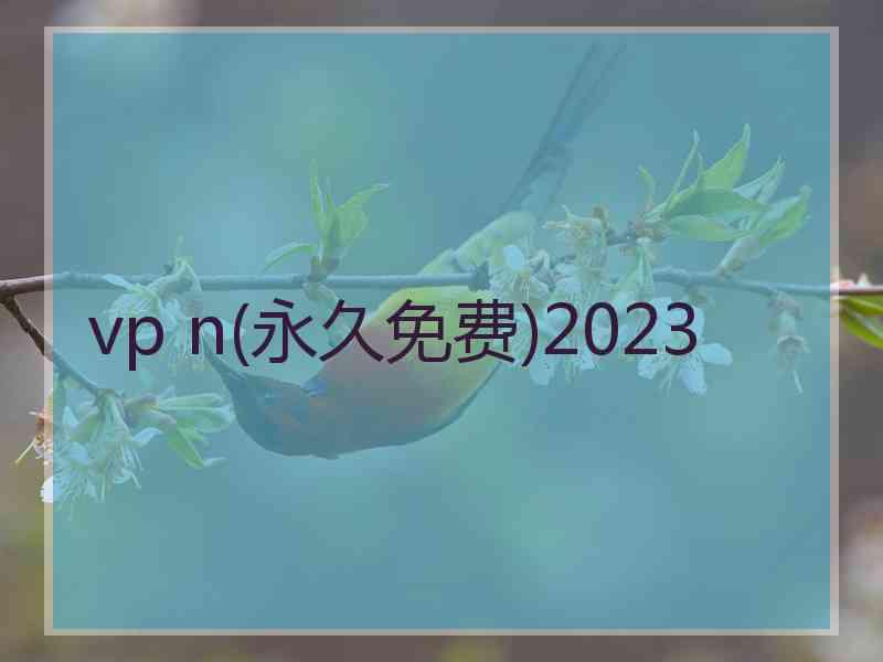 vp n(永久免费)2023