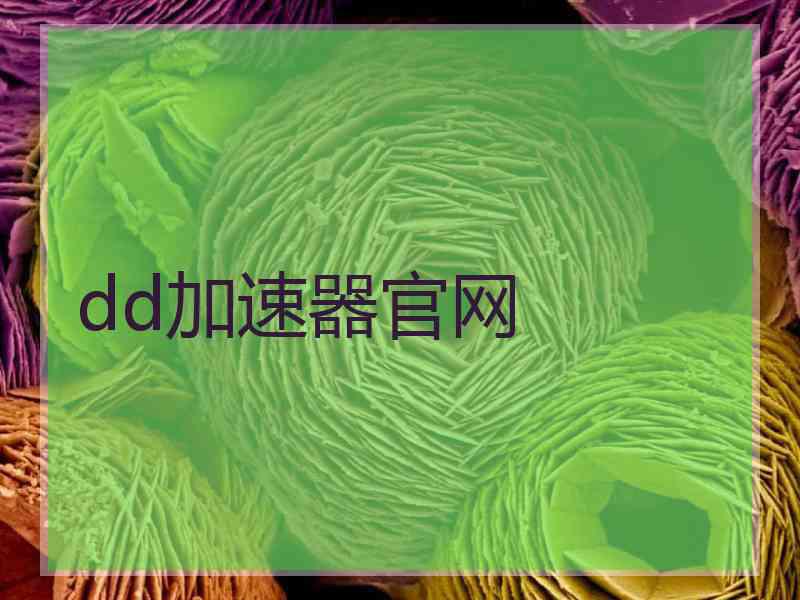 dd加速器官网