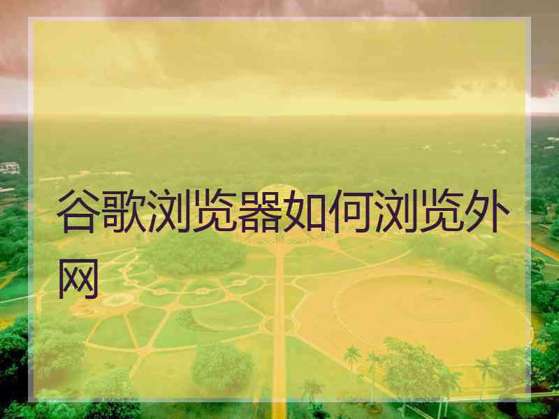 谷歌浏览器如何浏览外网