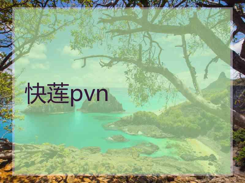 快莲pvn