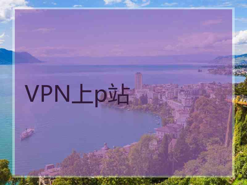 VPN上p站