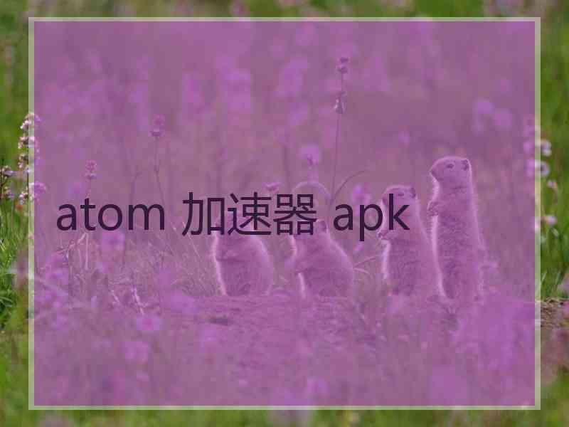 atom 加速器 apk