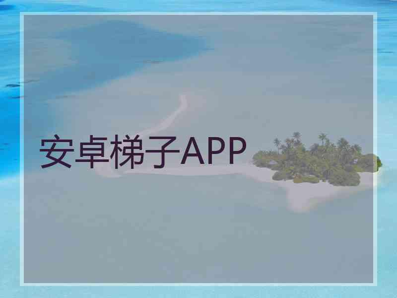 安卓梯子APP