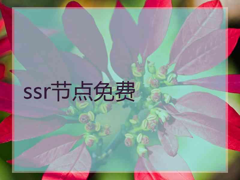 ssr节点免费