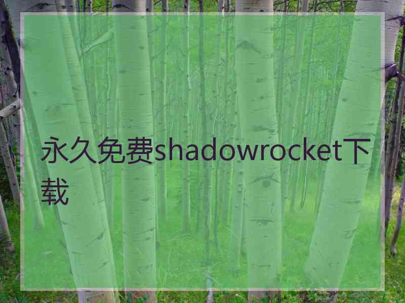 永久免费shadowrocket下载