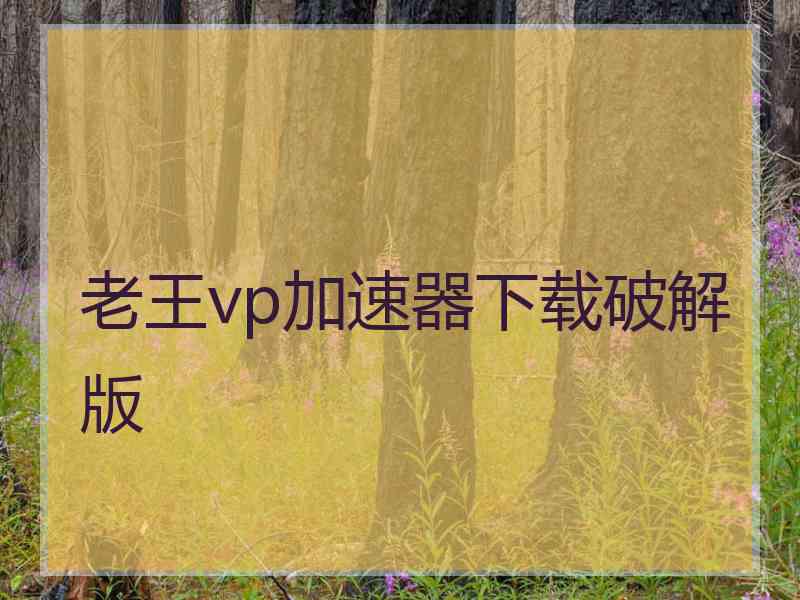 老王vp加速器下载破解版