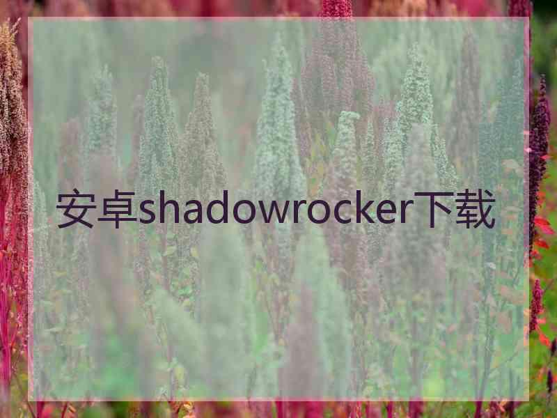 安卓shadowrocker下载