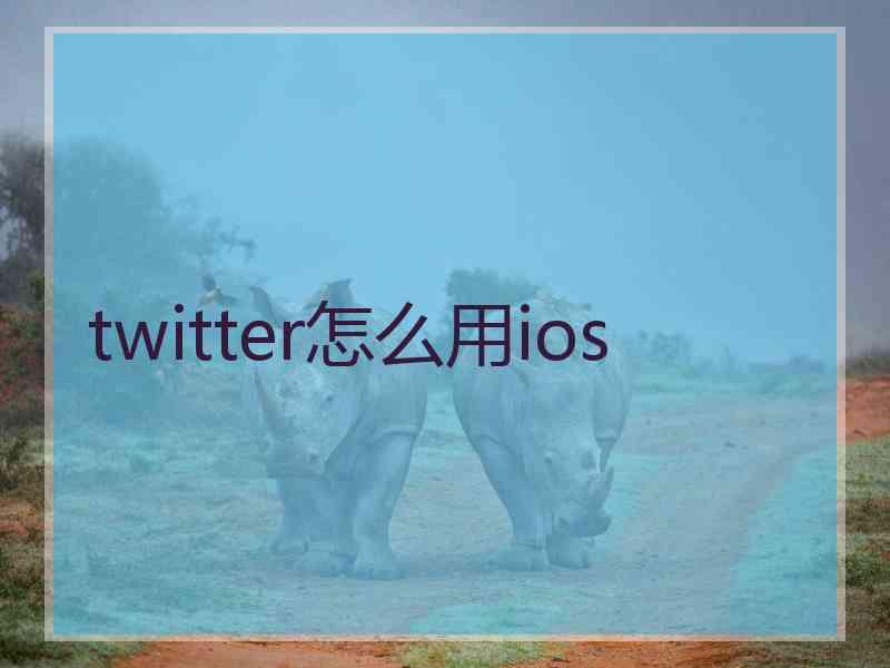 twitter怎么用ios