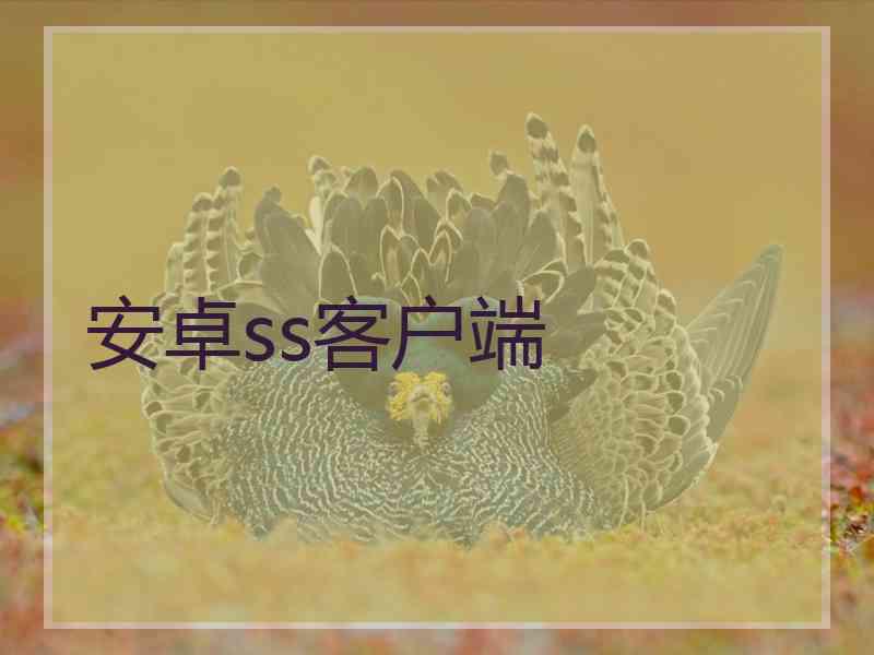 安卓ss客户端