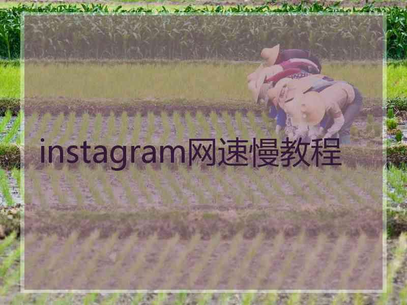 instagram网速慢教程