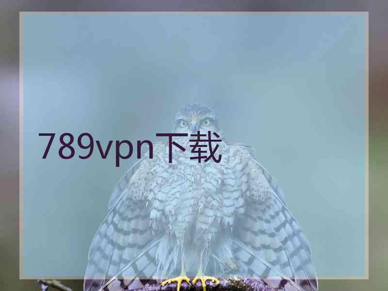 789vpn下载