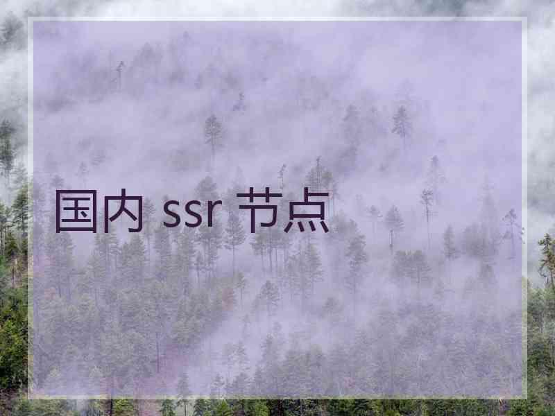 国内 ssr 节点