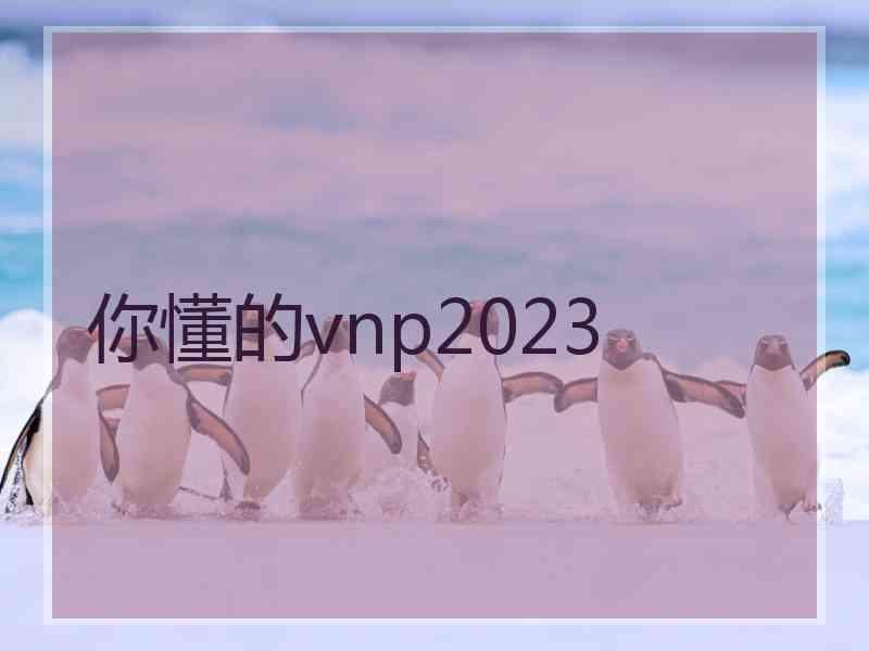 你懂的vnp2023