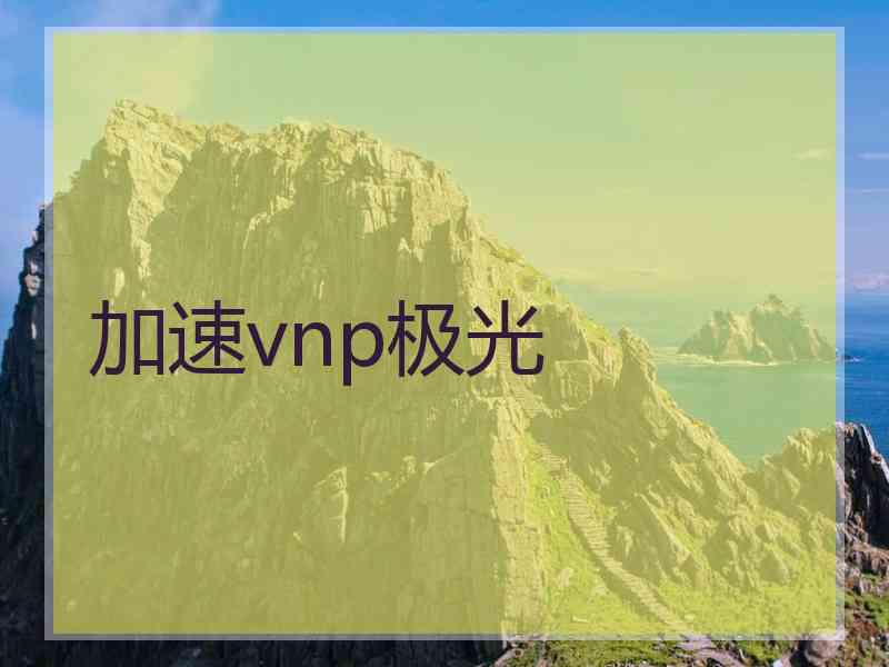 加速vnp极光