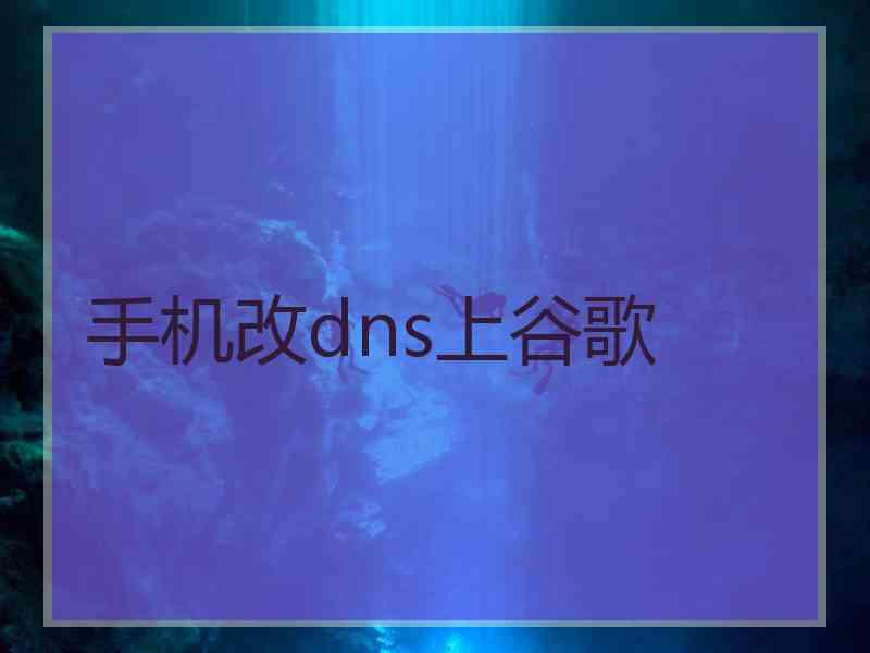 手机改dns上谷歌