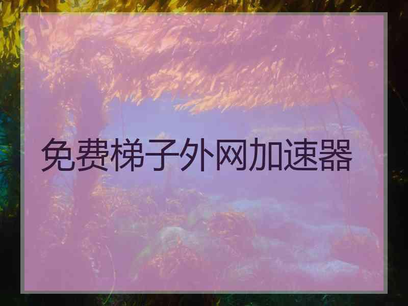 免费梯子外网加速器