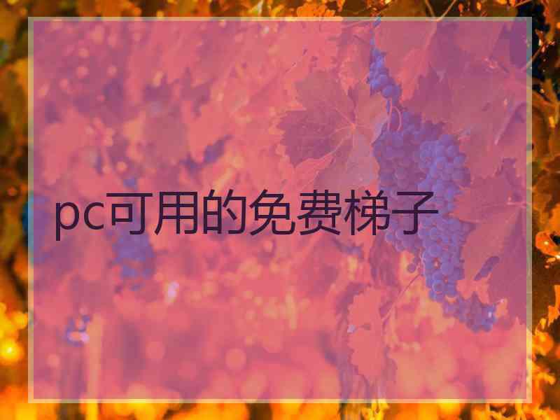 pc可用的免费梯子