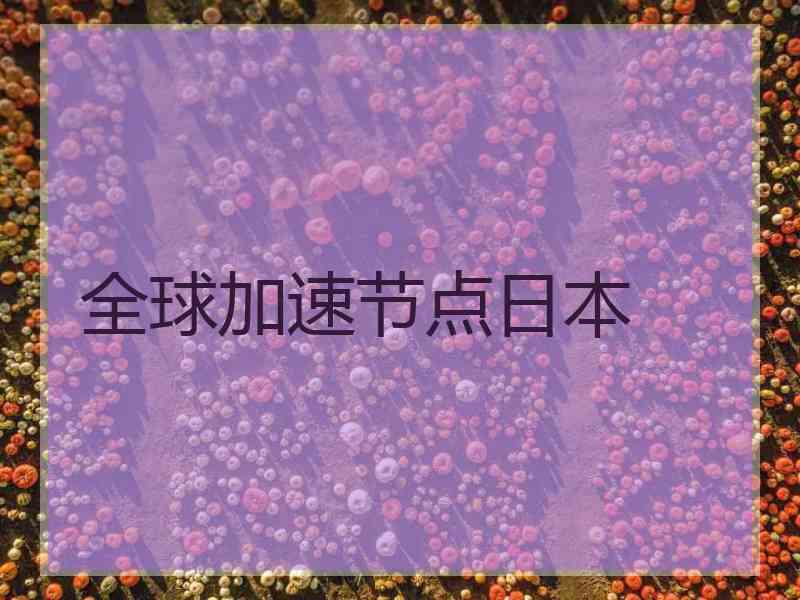 全球加速节点日本