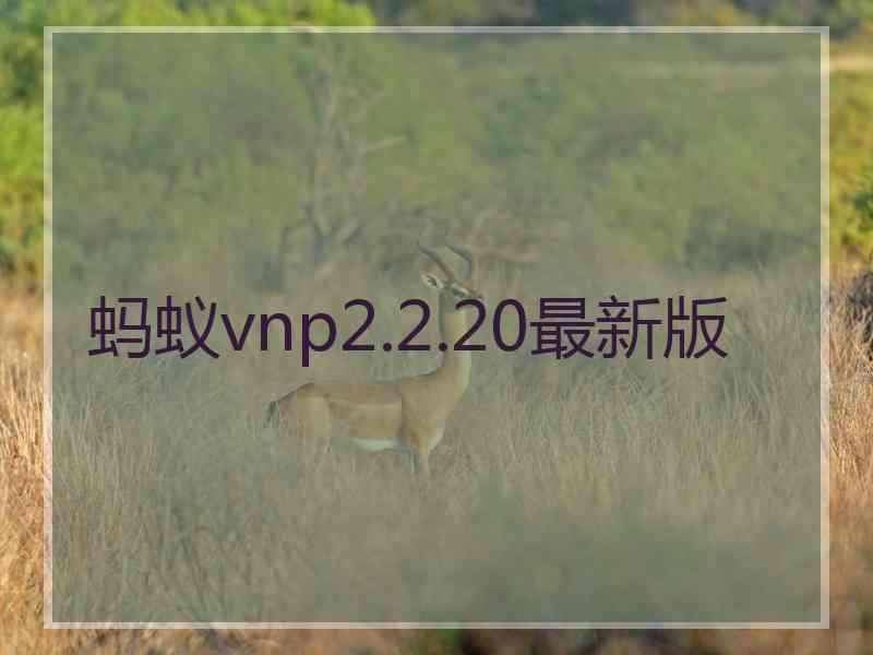 蚂蚁vnp2.2.20最新版