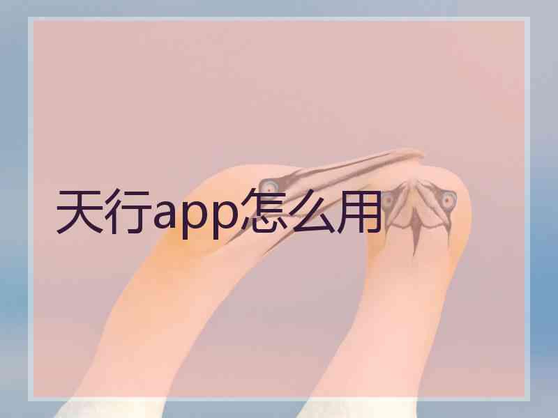 天行app怎么用