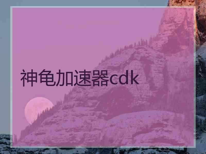 神龟加速器cdk