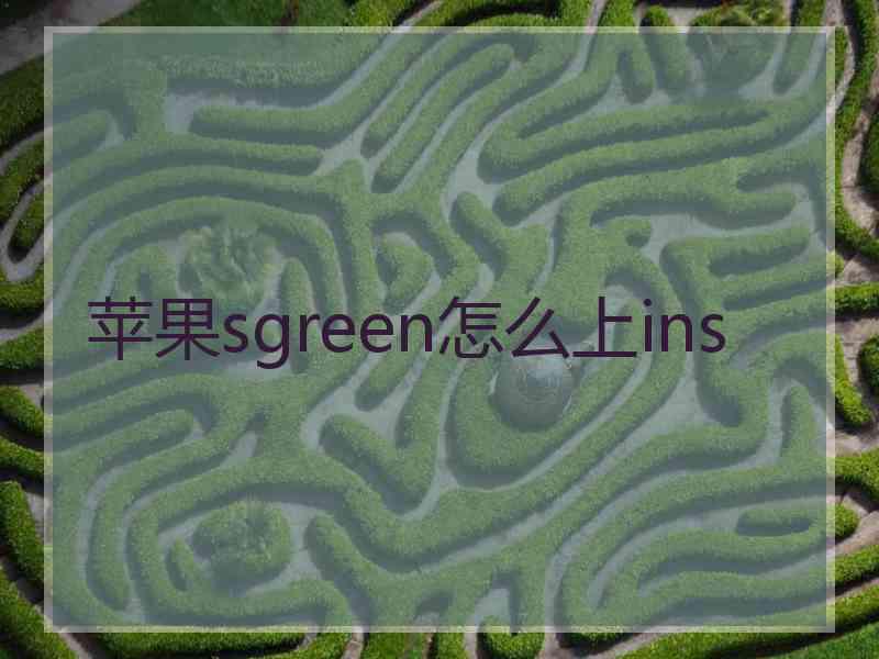 苹果sgreen怎么上ins