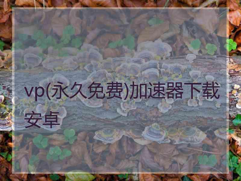 vp(永久免费)加速器下载安卓