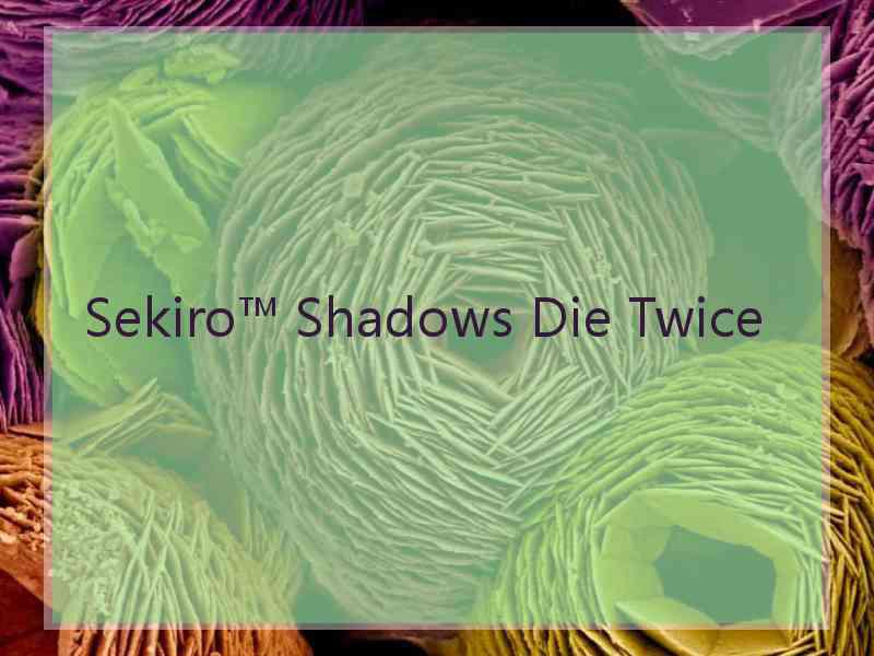 Sekiro™ Shadows Die Twice