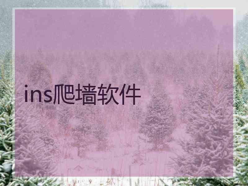 ins爬墙软件