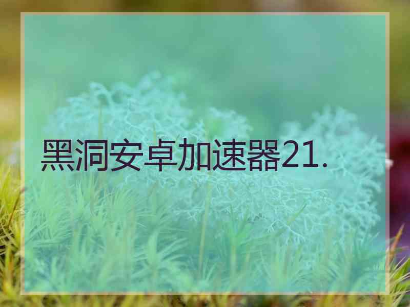 黑洞安卓加速器21.