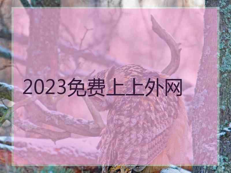 2023免费上上外网