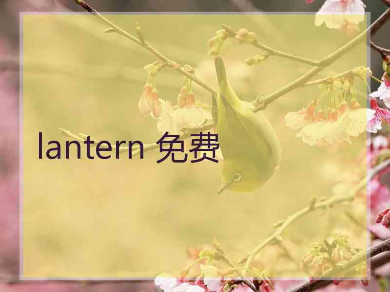 lantern 免费